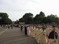 00 - Infiorata 2008 (21)